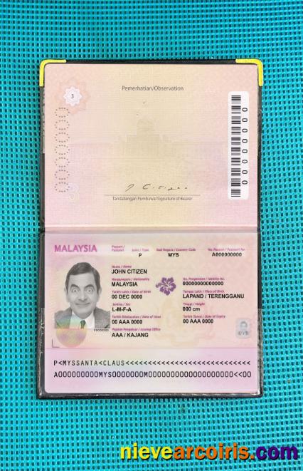 Malaysia passport (2010-2017) photolook